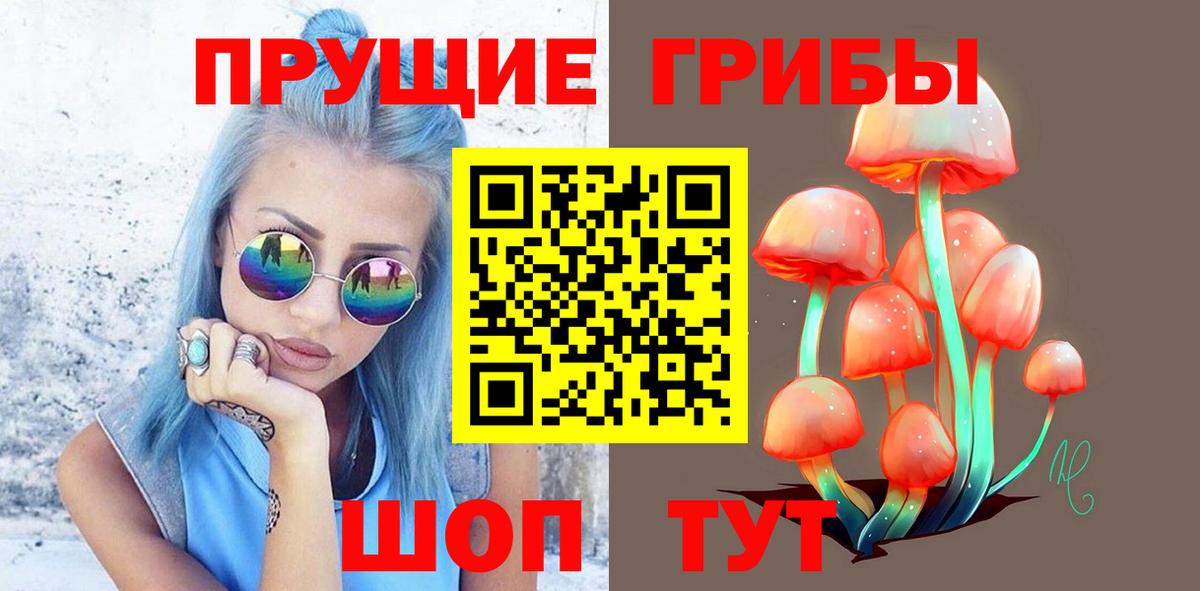 Псилоцибиновые грибы мухоморы  закладки  Азнакаево  Вход с VPN 