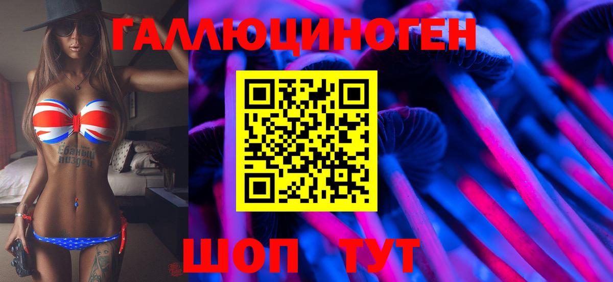 Псилоцибиновые грибы Cubensis Азнакаево